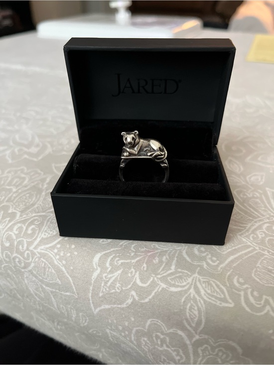 Jewelry - ARCANA OBSCURA Guardian Ring Sterling Silver